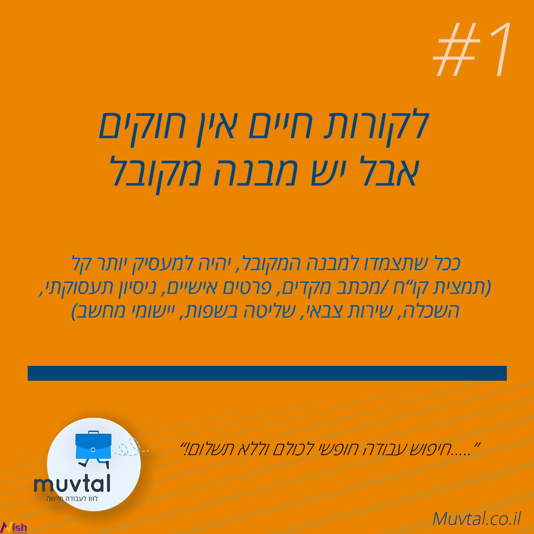 כתיבת קורות חיים - מבנה המסמך
