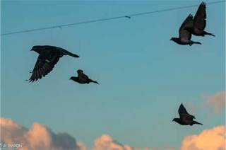 כיצד מבטיחים הצלחה בראיון עבודה